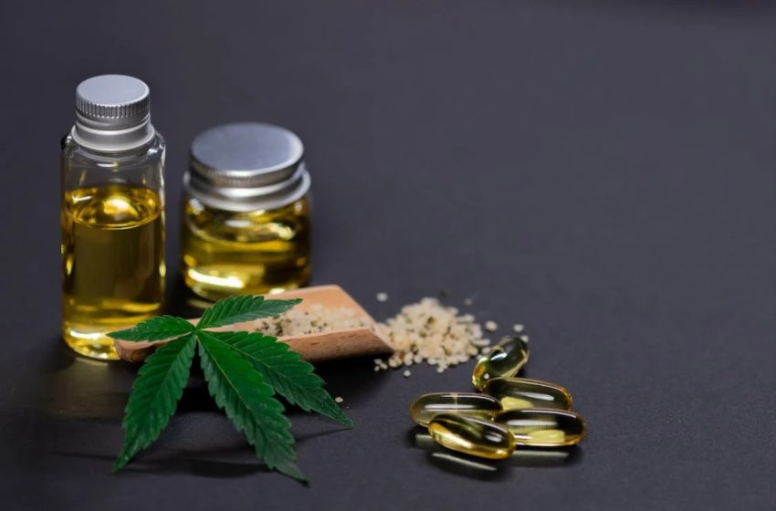  Congresso discute uso de cannabis medicinal para tratamento da dor
