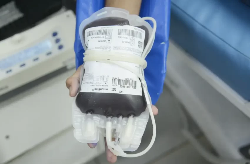  Aplicativo facilitará doações de sangue no Brasil