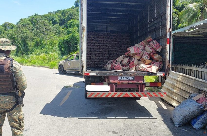  Polícia Ambiental apreende carvão ilegal no bairro de São Marcos