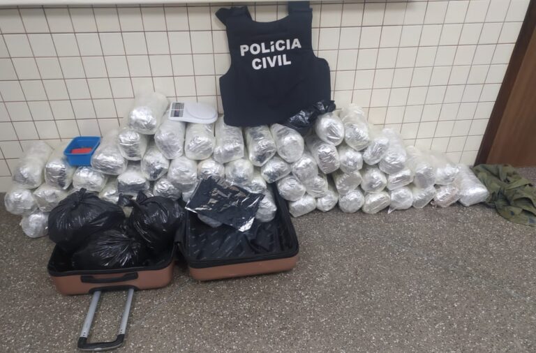  Polícia Civil apreende 56 quilos de maconha em Catu de Abrantes