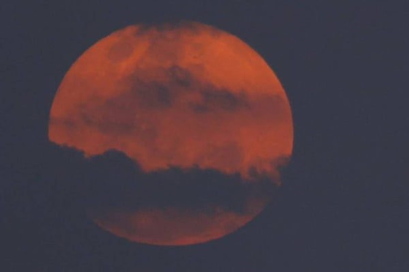  “Lua Cheia Rosa” será visível em todo o país nesta terça-feira (23)