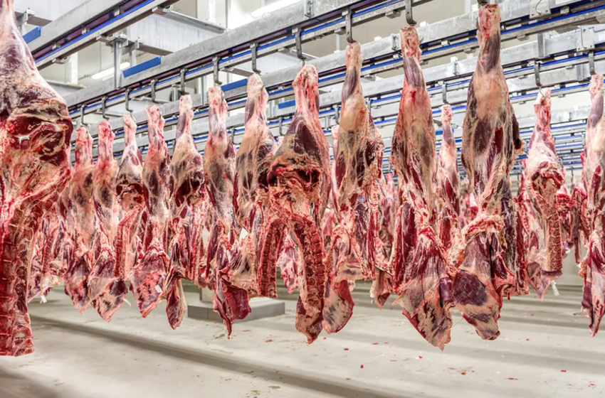  Carne fica fora da cesta básica com alíquota zero na proposta de Reforma Tributária